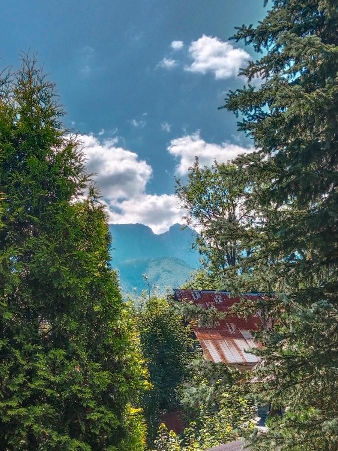 Wynajem Pokoi Goscinnych Zakopane Extérieur photo