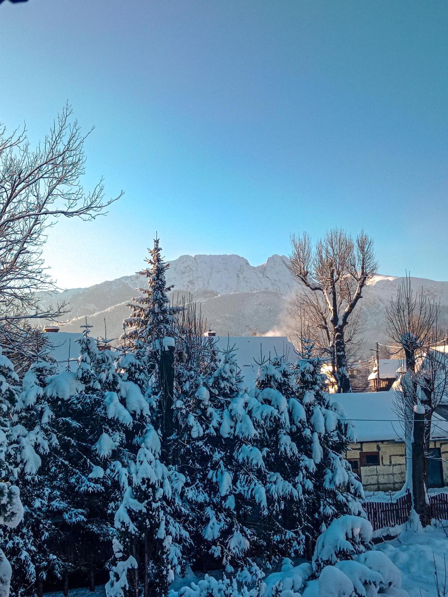 Wynajem Pokoi Goscinnych Zakopane Extérieur photo